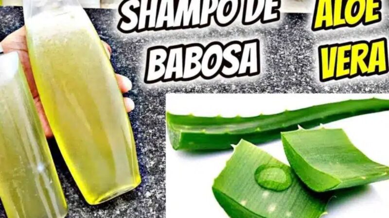 Cabelos Brilhantes e Saudáveis: Shampoo de Babosa Caseiro com Apenas 2 Ingredientes!