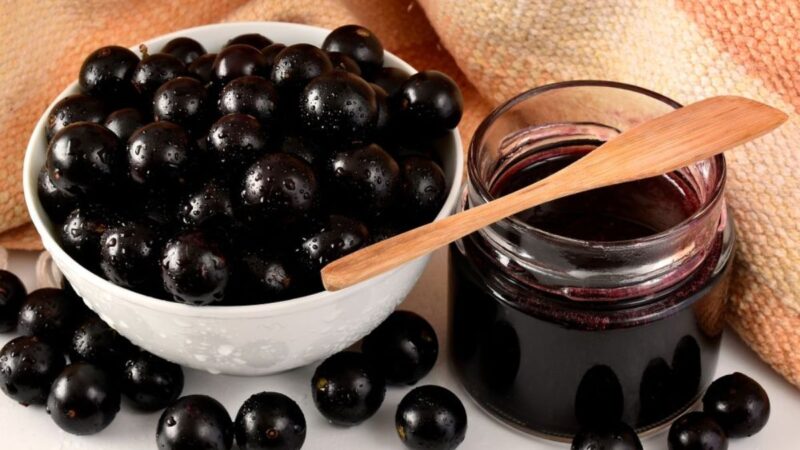 Geleia de Jabuticaba Fácil: Um Doce que Encanta a Todos!