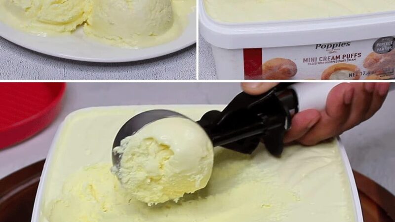 Dois Ingredientes, Puro Prazer: A Receita Facílima do Sorvete de Creme que Vai Encantar Seu Paladar!