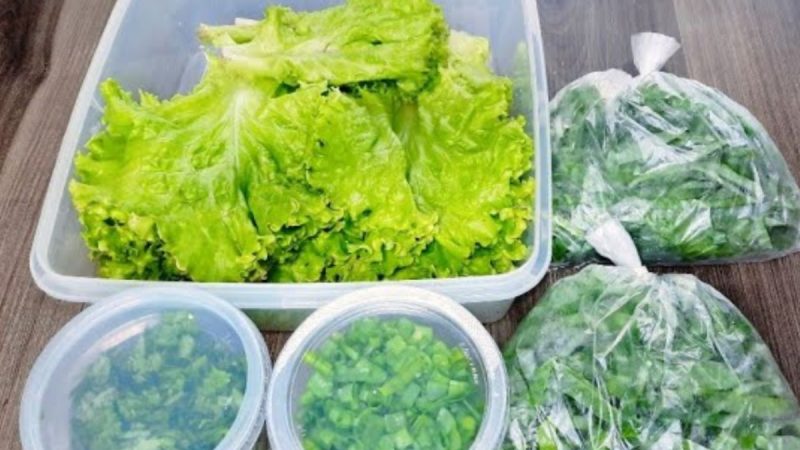 Mantenha suas Verduras Frescas por Mais Tempo: Dicas para Conservar Couve, Alfaces, Cebolinhas e Coentro