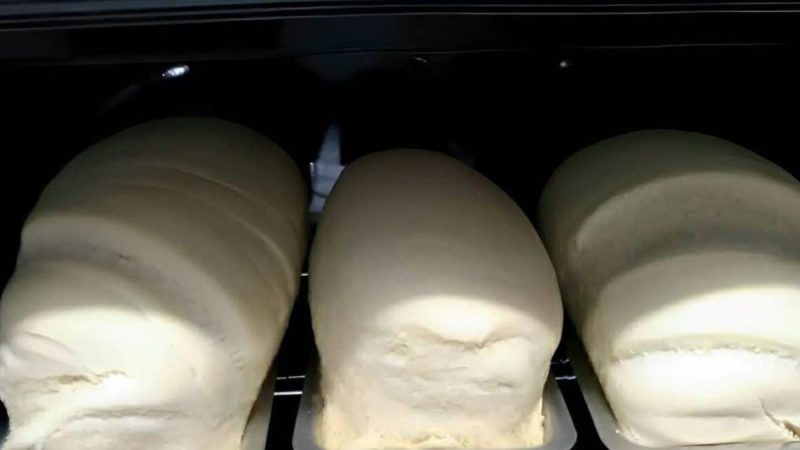 Desfrute do Prazer de Fazer e Saborear um Pão Caseiro com Massa Leve e Fofinha