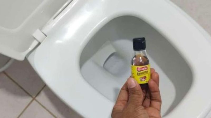 Só 1 Gota! O Segredo para Deixar seu Banheiro Perfumado como Nunca