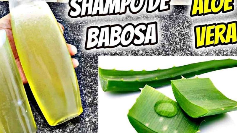 Fiz Esse Shampoo de Babosa Caseiro de 2 Ingredientes e Meus Cabelos Estão Muito Mais Fortes e Saudáveis