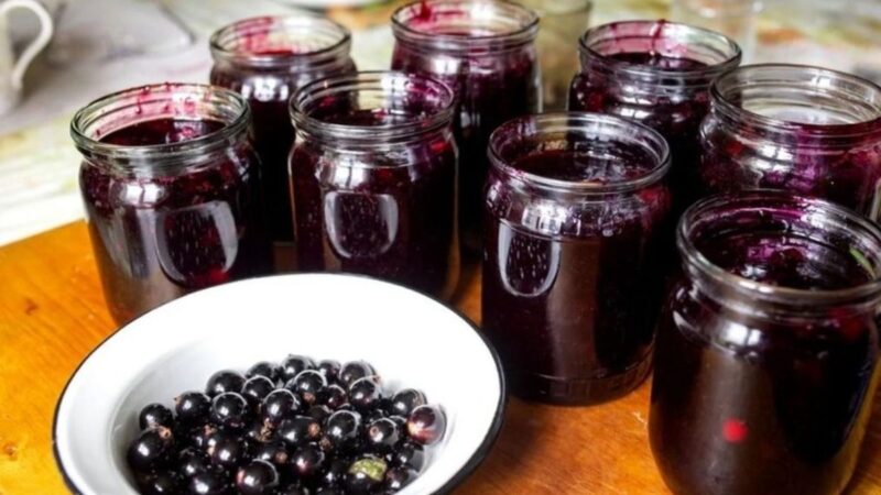 Geleia de Jabuticaba Caseira Super Cremosa, Feita da Fruta com Apenas 3 Ingredientes!