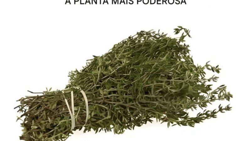 O Chá Misterioso que Transforma Sua Saúde: Diga Adeus a Parasitas, Infecções e Dores